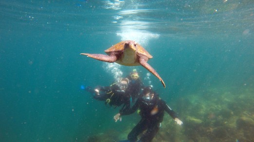 DCIM100GOPROG0040227.